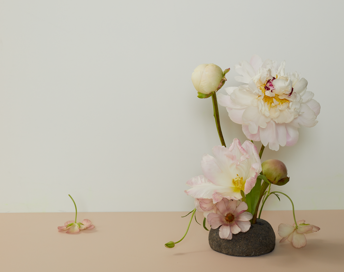 Ikebana style floral arrangement featuring peonies in a river rock floral frog.