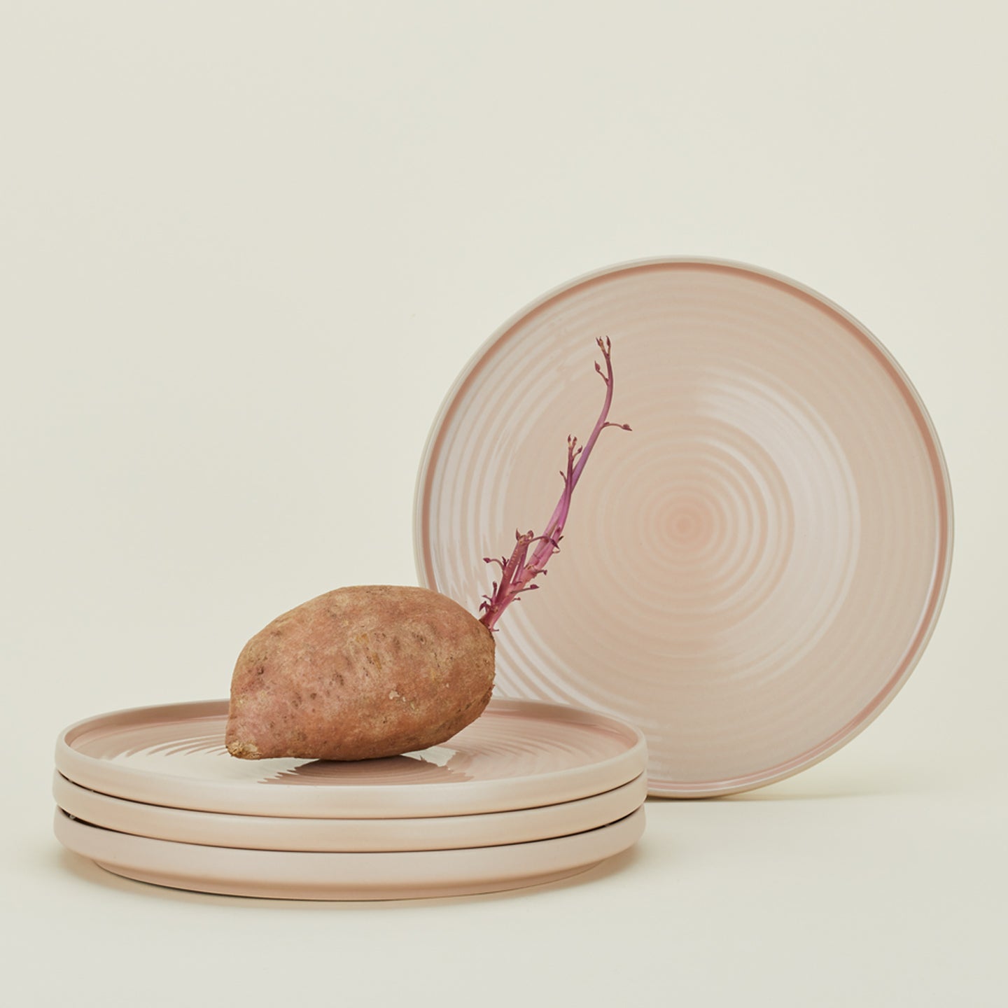 Four Essential Dinner Plates in Blush, with root vegetable.