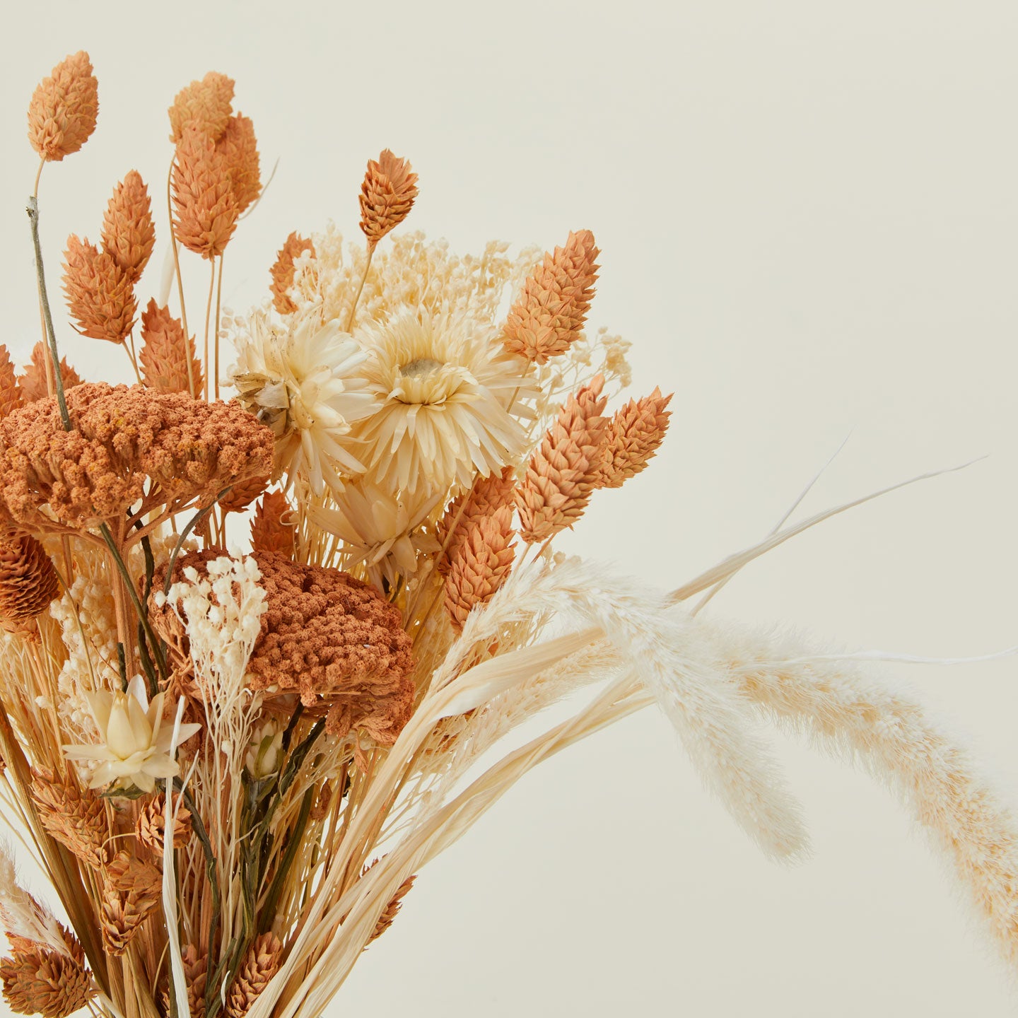 Close up of dried floral bouquet in peaches and cream.