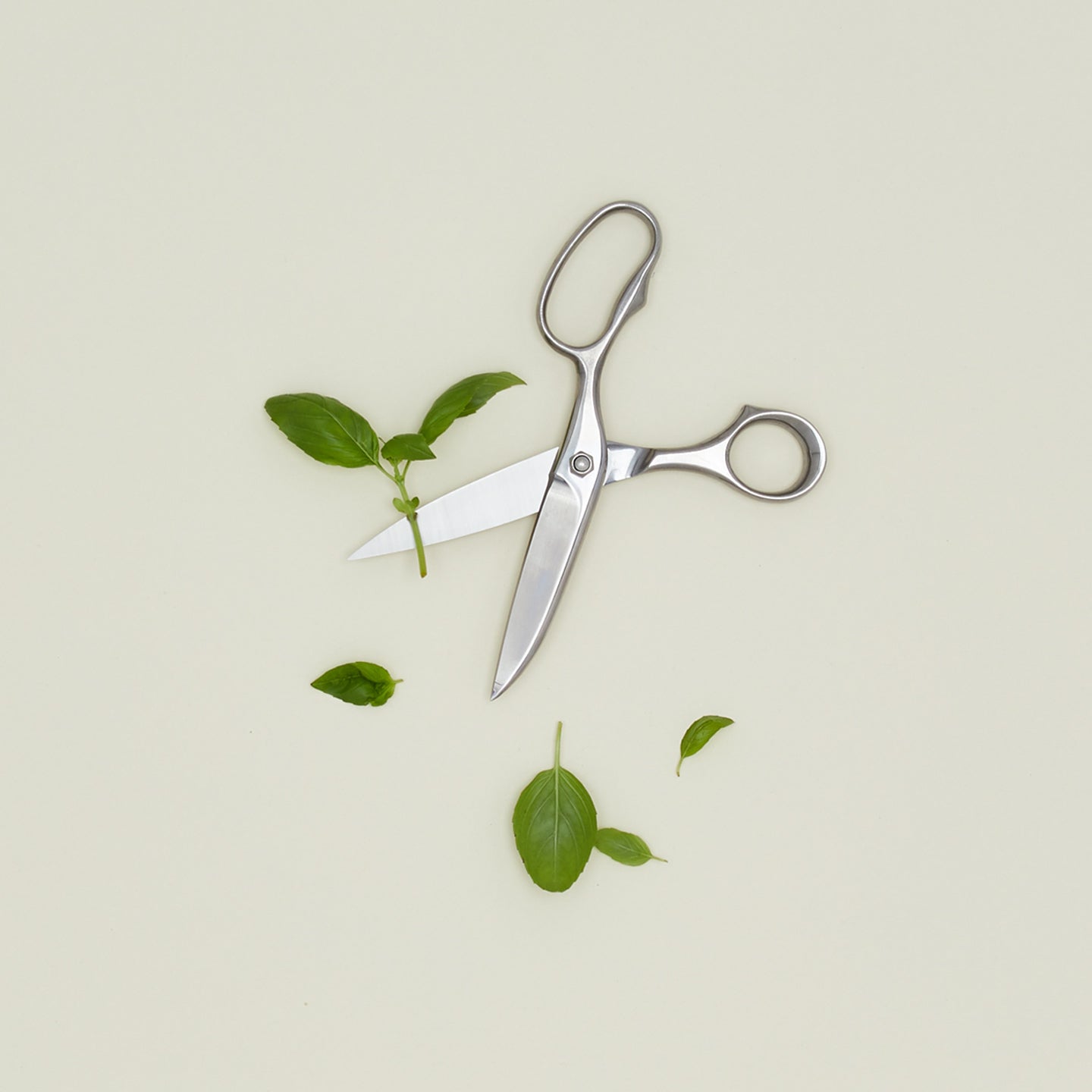 Pallares Solsana scissors with cut herbs