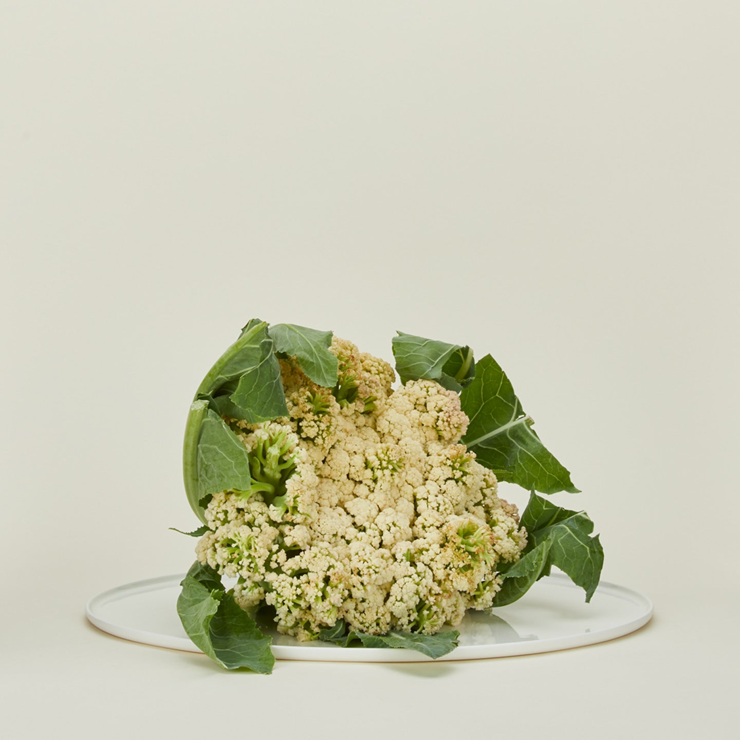 Simple porcelain serving platter in white with cauliflower