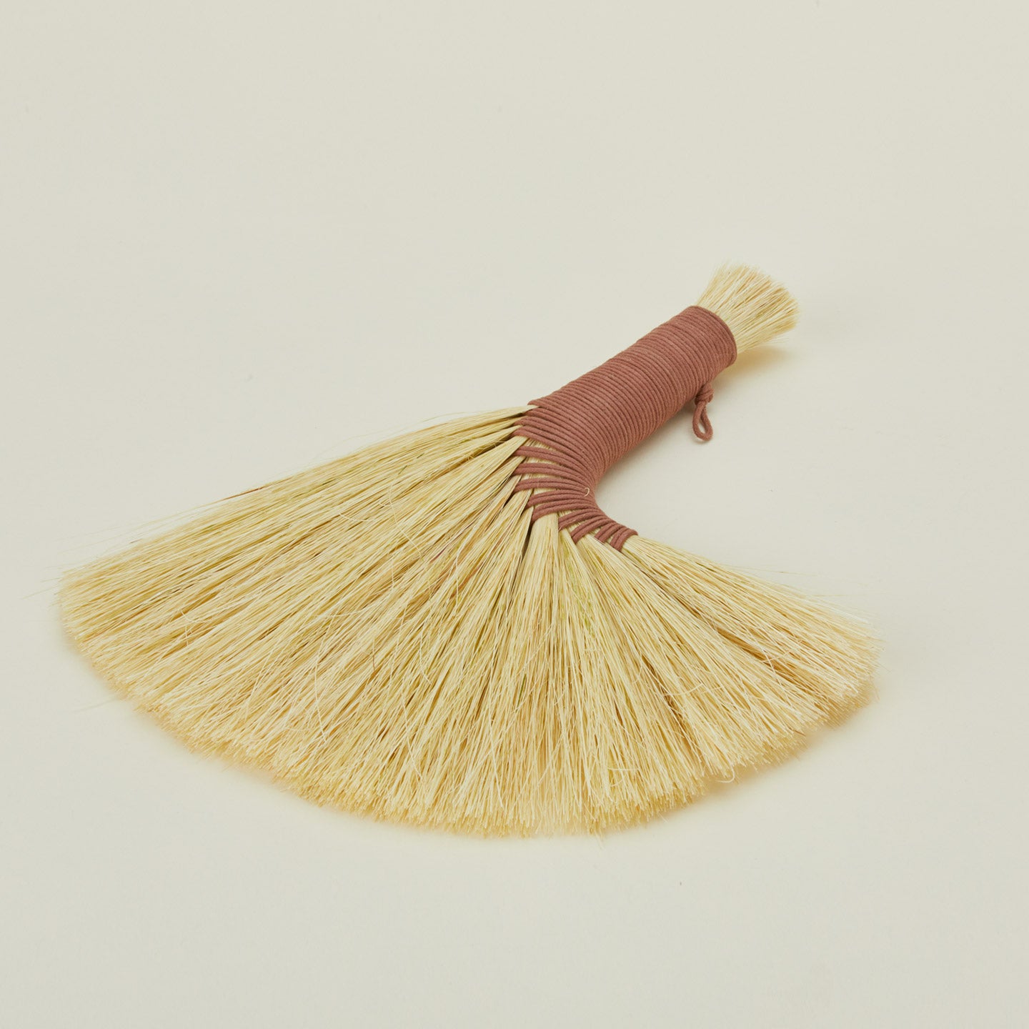 Close up view of turkey wing broom