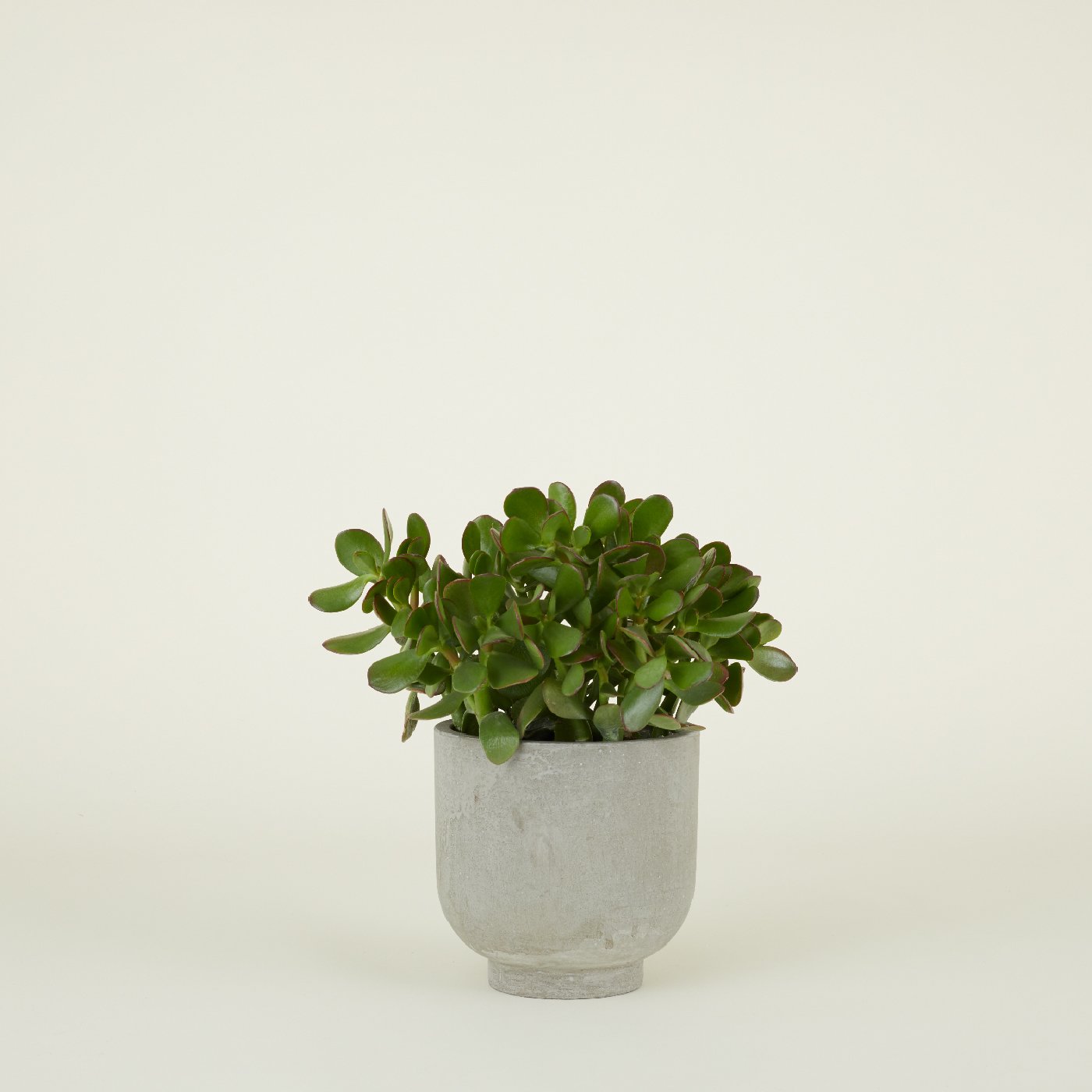 Hawkins New York Footed Terracotta Planters